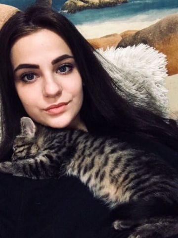 Стелла